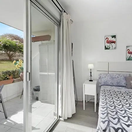 Agave 1 * פוארטו דה לה קרוז