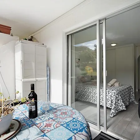 Agave 1 * פוארטו דה לה קרוז