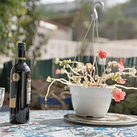 Agave 1 * פוארטו דה לה קרוז