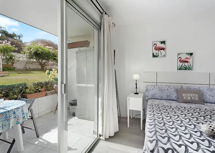 Agave 1 * Puerto de la Cruz (Tenerife)