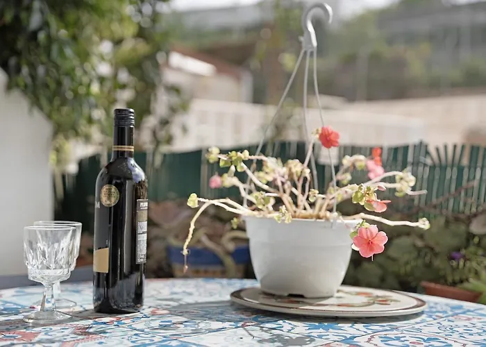 Agave 1 * Puerto de la Cruz (Tenerife)